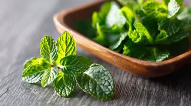 garnishing-instructions-image